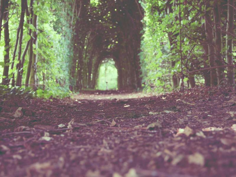 批量异常处理<br>账号被封/限制批量恢复流程